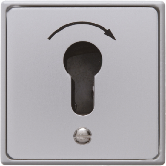 Schlüsseltaster-Modul alu IP44 1S UP