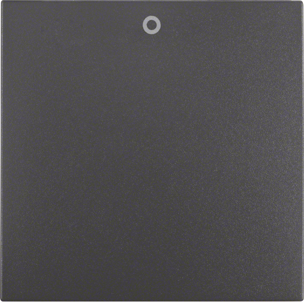 Wippe Schalter B.3/B.7 anth mt 0 Symbol 0