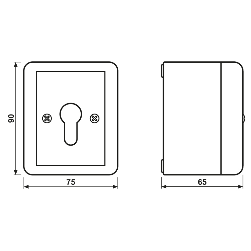 Schlüsseltaster-Modul gr WG 800 IP44 glz 1W AP