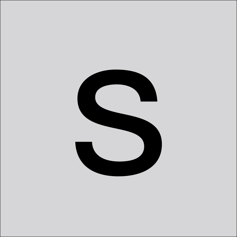 Kleinbuchstabe S sw H100mm