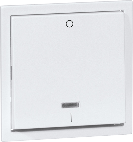 Kontrollwippe Schalter NOVA rws glz Kennz.0/1