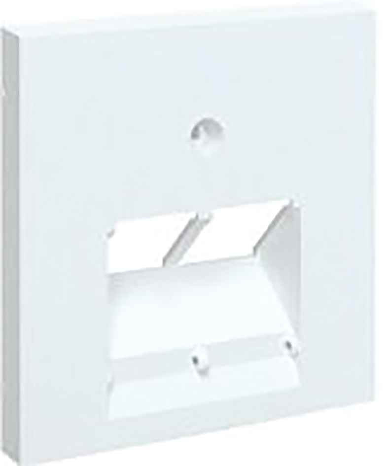 Zentralplatte UAE/IAE 2f ver-ws Schraubbef ohne