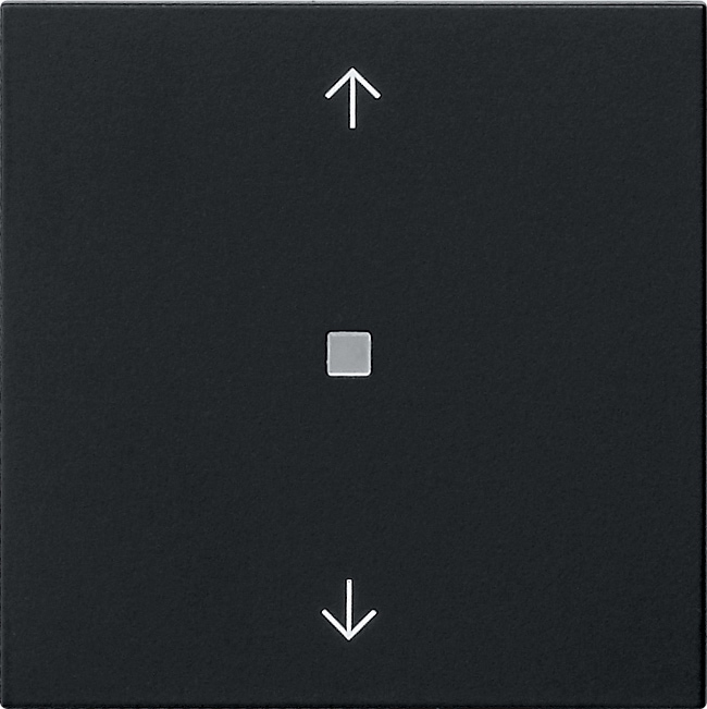 Kontrollwippe Schalter System 55 sw mt Pfeile Symbol Pfeile