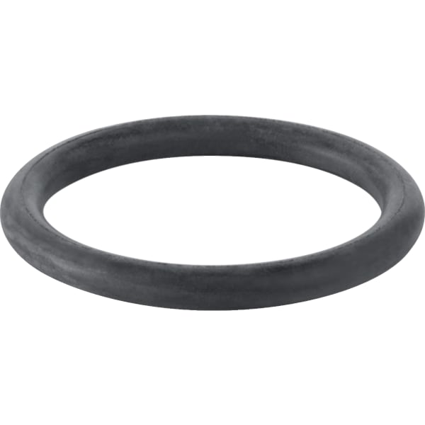 O-Ring für Deckel für Filterkessel Cantabric O-Ring für Deckel für Filterkessel Cantabric